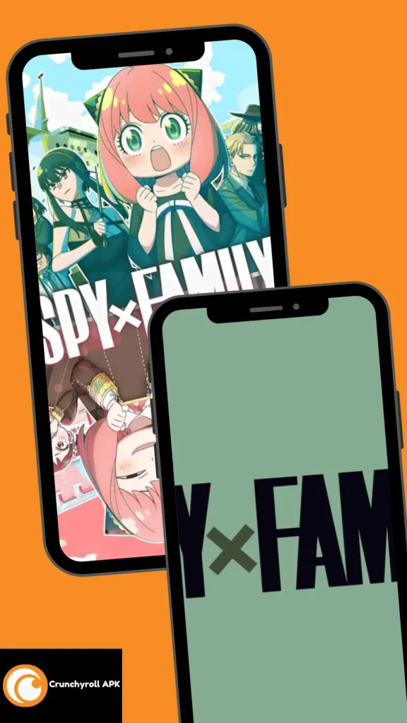 Home 12 Spy X Family Image